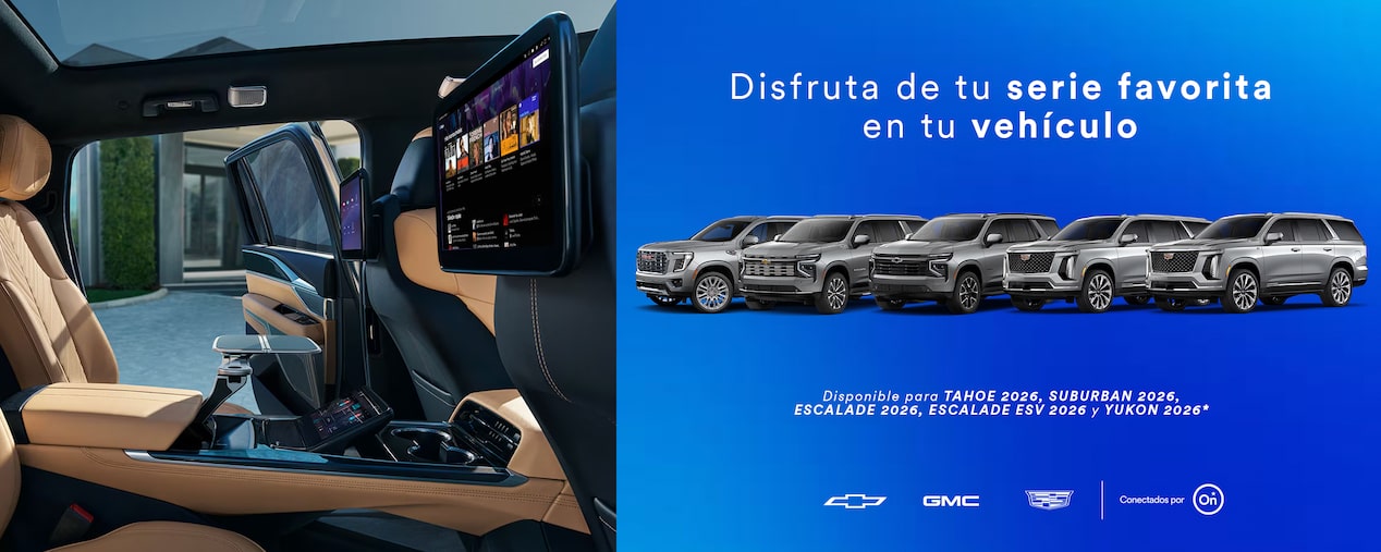 Interior vehículo con videostreaming