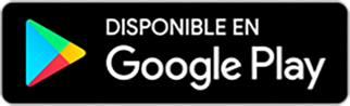 Logo Google